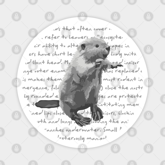 Beaver Info Magnet by Slightly Unhinged